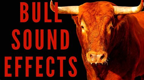 Dreamy Bull Sounds and Sound Effects